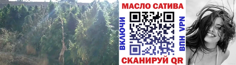ТГК THC oil  Купить  Няндома 